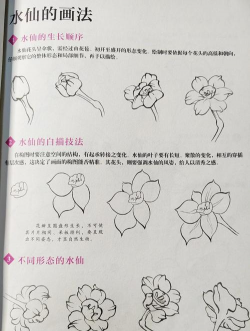 用水养花，简单易学，新手也能轻松上手