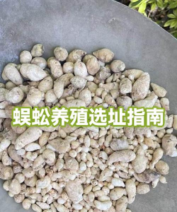 用水养花，简单易学，新手也能轻松上手