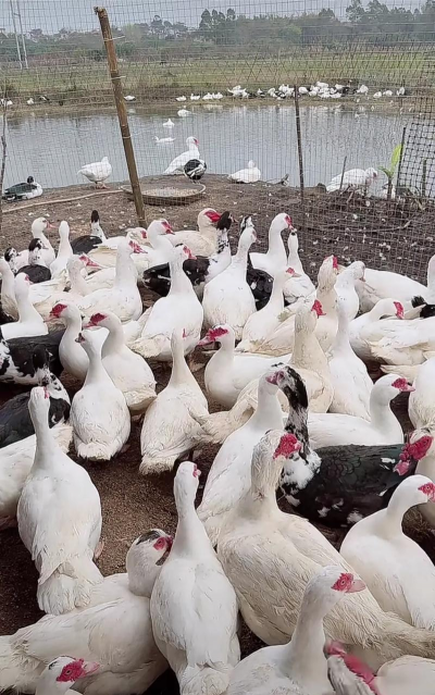 广西怡养花园大酒店，住宿体验分享，真实感受告诉你