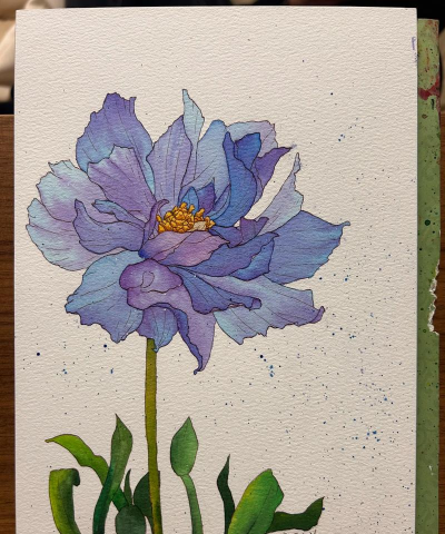 手绘花卉图片，提升审美情趣，丰富生活色彩