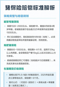 养花创意，点亮生活，增添乐趣