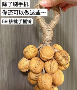 养花创意，点亮生活，增添乐趣