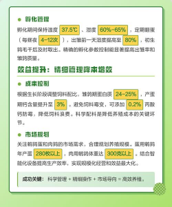 养花创意，点亮生活，增添乐趣