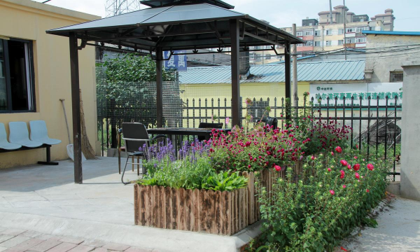 养花创意，点亮生活，增添乐趣