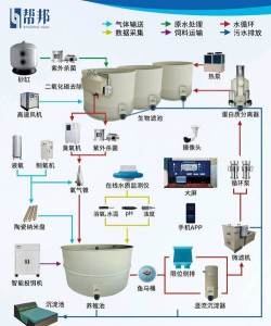 养花创意，点亮生活，增添乐趣