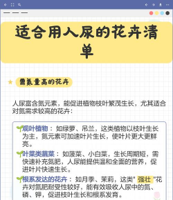 爱养花网，养花好帮手，新手也能轻松上手