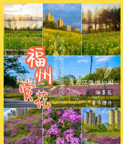 爱养花网，养花好帮手，新手也能轻松上手