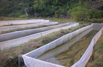 昆明花卉批发，货源渠道多，价格优势大