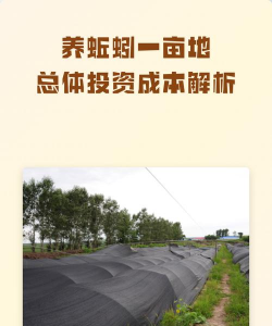 用水养花，简单易学，新手也能轻松上手