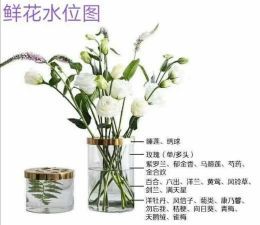 网购花卉，挑选技巧，养护要点