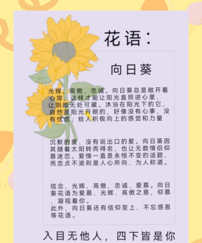 昆明花卉批发，货源渠道多，价格优势大