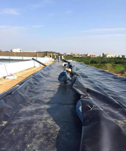 用水养花，简单易学，新手也能轻松上手