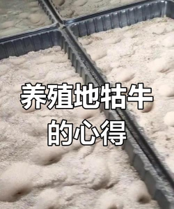 养花自制土，省钱又实用，轻松搞定花土