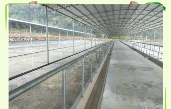 西安养殖场，选址要点，运营关键