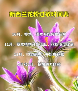 养花过敏，常见症状，如何应对