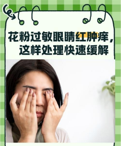 养花的见解，新手入门指南，轻松打造花园