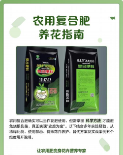 养花的见解，新手入门指南，轻松打造花园