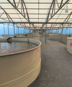 养花的见解，新手入门指南，轻松打造花园