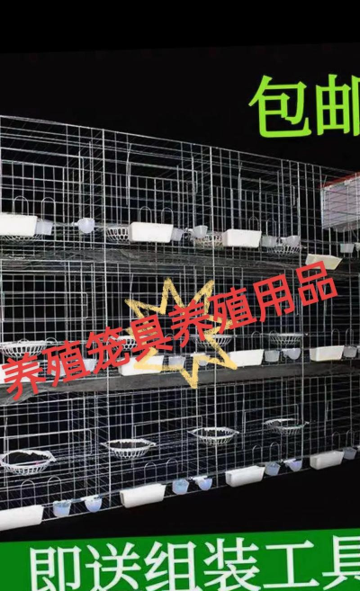 养花的见解，新手入门指南，轻松打造花园