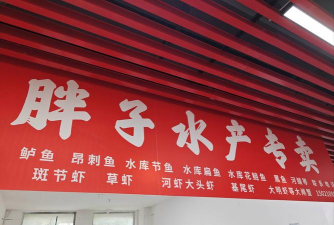 养花创意，点亮生活，增添乐趣