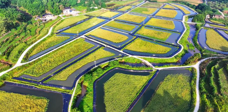 爱养花网，养花好帮手，新手也能轻松上手