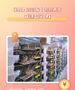 爱养花网，养花好帮手，新手也能轻松上手