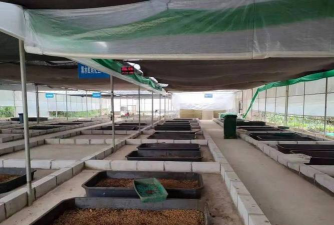 爱养花网，养花好帮手，新手也能轻松上手