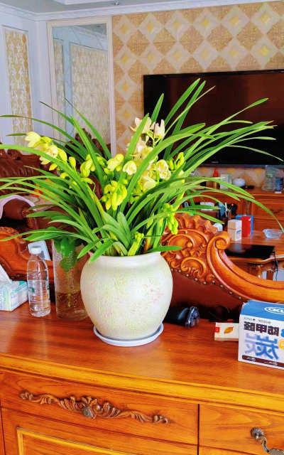 爱养花网，养花好帮手，新手也能轻松上手