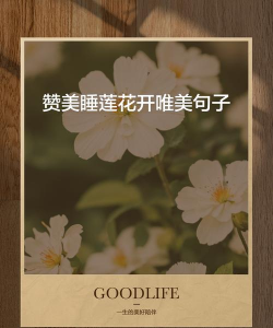 大米养花，废物利用，简单有效