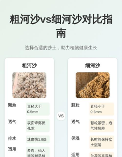 大米养花，废物利用，简单有效