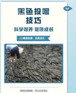 大米养花，废物利用，简单有效