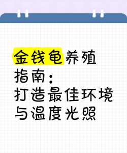 大米养花，废物利用，简单有效