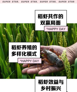 养花自制土，省钱又实用，轻松搞定花土