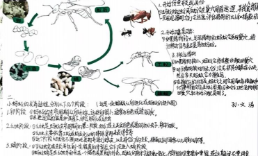 养花自制土，省钱又实用，轻松搞定花土