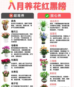 养花自制土，省钱又实用，轻松搞定花土