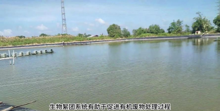 大棚养殖什么最赚钱，热门项目分析，帮你快速选择