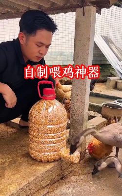 天门冬盆栽养殖方法，轻松上手，四季常绿