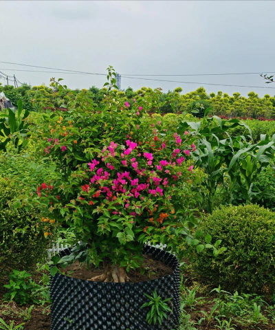 养花溪大厦，居住体验如何，周边配套怎样