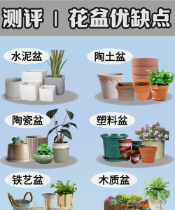 养花创意，点亮生活，增添乐趣