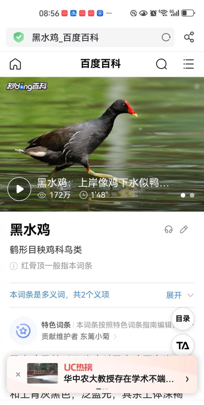 养花创意，点亮生活，增添乐趣