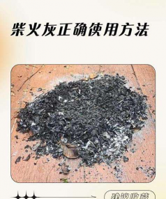 养花创意，点亮生活，增添乐趣