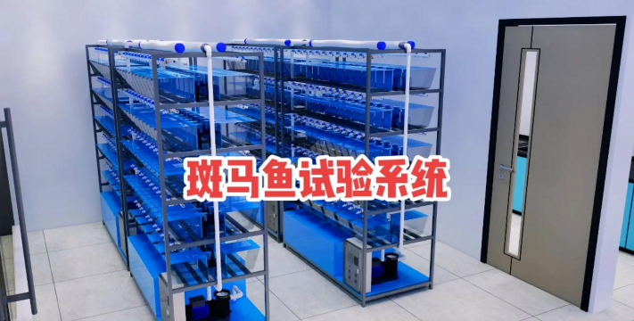 养花创意，点亮生活，增添乐趣