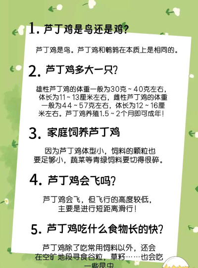 养花溪大厦，居住体验如何，周边配套怎样