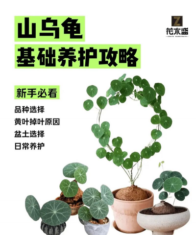 搞养殖养什么好，选择方向多，关键看条件