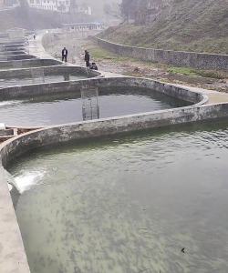 养花溪大厦，居住体验如何，周边配套怎样