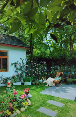 生态土鸡养殖技术，掌握关键要点，提升养殖效益