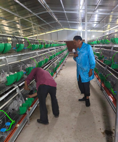 天门冬盆栽养殖方法，轻松上手，四季常绿