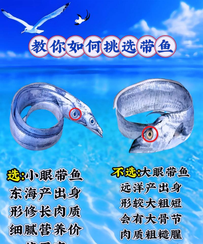 带鱼是养殖的吗，捕捞与养殖区别，如何选择更新鲜