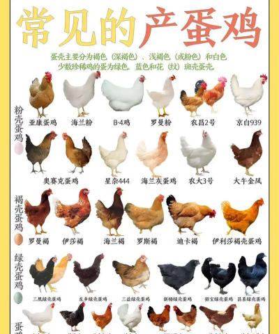 大米养花，废物利用，简单有效