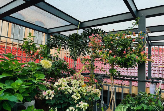 大米养花，废物利用，简单有效